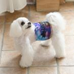 [LOGOS] Logos собака собака для ремень для животных правила поведения частота собака одежда товары для домашних животных маркировка предотвращение Thai большой рисунок 