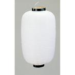 ショッピング15号 看板 ビニール提灯 長型 15号 白ベタ 無地