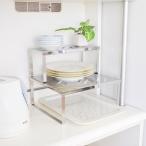 FRAMES＆SONS plus A studio 18-8ステンレス シェルフインサート 大 1個 DS15