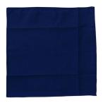 TORAY トレシー 保護ゴーグル クリーニングクロス 19×19cm ネイビー