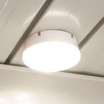 アイリスオーヤマ 乾電池式LEDセンサーライト マルチタイプ 昼白色 BSL40MN-WV2