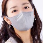 アイリスオーヤマ DAILY FIT MASK 立体 ふつうワイド 5枚入 RK-F5MXH ニュアンスグレー