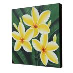 バリ絵画 プルメリア13(40×40cm)   花   壁掛け バリ風 インテリア バリアート ハワイ おしゃれ バリ雑貨 ココバリ