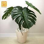 モンステラ株立ちタイプ(LL)   造花 インテリア フェイク グリーン 観葉植物 トロピカル フラワー おしゃれ 高級 リアル 本物 そっくり