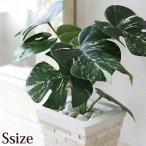 モンステラ 株立ちタイプ(S)　造花 インテリア フェイク グリーン 観葉植物 トロピカル フラワー おしゃれ 高級 リアル 本物 そっくり
