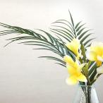 pa-m leaf (S) искусственный цветок интерьер искусственная зелень декоративное растение лист ..a-tifi автомобиль ru цветок тропический Nankoku модный высококлассный настоящий подлинный товар целиком 