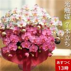  Mother's Day . butterfly orchid artificial flower photocatalyst opening festival .7ps.@. white pink Mix celebration birthday large wheel length . present year-end gift gift kochou Ran here can 