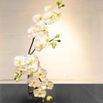母の日 胡蝶蘭 ガラス 花器 一輪挿し風 アレンジ 花瓶 造花 光触媒 お祝い 白 ホワイト エントランス ホール 受付 誕生日 プレゼント ギフト コチョウラン