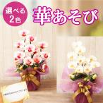 プレゼント ギフト 祖母 花 アレンジメント 和風 造花 華あそび 和モダン 胡蝶蘭 光触媒 開店 喜寿 米寿 百寿 誕生日 長寿 お祝い 傘寿 黄色 紫 和風 敬老の日
