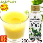 シークワーサー 果汁100% 200ml×12本 /JAおきなわ 青切りシークヮーサー ジュース 原液 ノビレチン