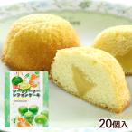 シークワーサーシフォンケーキ 20個入　/沖縄お土産 お菓子