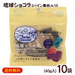 琉球ショコラ パイン果肉入り 40g×10袋 /黒糖 チョコレート 沖縄お土産 お菓子【M便】