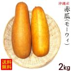  красный .(mo-wi)2kg / Okinawa овощи mo-uimo-i