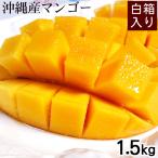  Okinawa производство манго 1.5kg(4~7 шар ) белый коробка / Apple манго рефрижератор 