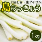  остров rakkyou сырой пилинг 1kg Okinawa производство остров la both большой . коммерческое предприятие 