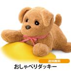 おしゃべりダッキー 当社オリジナ�