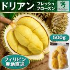 【入荷しました】フローズンドリアン 500ｇ 冷凍 真空パック 産地直送 ドリアン Frozen durian COCOCURE ココキュア