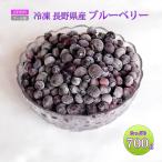 ブルーベリー 国産 長野県産 冷凍 フルーツ 訳あり 大容量 700g