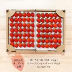 9/18 出荷限定 いちご 夏いちご 長野県 サマープリンセス サマーリリカル