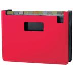 se регулирование document подставка вспененный прекрасный человек A4 ширина красный FB-2312-20 A4 box файл PP производства box type файл 