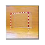 【お取り寄せ】モルテン キャッチネット HCN