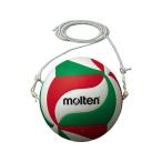 【お取り寄せ】モルテン テッサーボール 5号球 V5M9000T