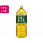 ショッピングお茶 ペットボトル 伊藤園 お~いお茶 濃い茶 2L×12本 ペットボトル 大容量 お茶 缶飲料 ボトル飲料