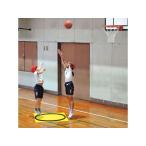 [ ваш заказ ]TOEI LIGHTto-ei свет корзина Shute e задние сидения 