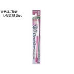 ���ꥨ���� �ǥ�ȥե����� ��С�����å� ���ȥ졼�� �դĤ� ���֥饷 �դĤ� ������륱��