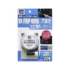 【お取り寄せ】ソフト99 カーボン繊維配合パテ 80g 09229