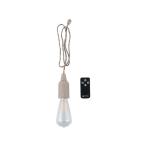 [ ваш заказ ]na бегемот cocos nucifera LED дистанционный пульт висячий лампа M язык HPS-LHR02TN LED свет фонарь свет уличный кемпинг сопутствующие товары 
