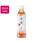  Surf viva reji чай .. ячменный чай 500mL×48шт.@ пластиковая бутылка ячменный чай . чай (напиток) бесплатная доставка 