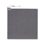 [ производитель прямая поставка ] Family * жизнь электрический электроковер 2 татами для a35575[ оплата при получении не возможно ] электроковер Mini коврик с подогревом плита обогреватель кондиционер бытовая техника 