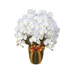 [ производитель прямая поставка ] искусство klieishon elegant . бабочка орхидея 64cm белый 61280007[ оплата при получении не возможно ] человеческий труд растения 