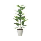 [ производитель прямая поставка ] искусство klieishon свежий pothos 1.5m 61280038[ оплата при получении не возможно ] человеческий труд растения искусственная зелень вход информация 