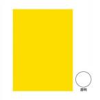 ¥ª¥¥Ê ÂçȽ¥«¥é¡¼¥»¥í¥Õ¥¡¥ó5 Æ©ÌÀ CCL5 100¥»¥Ã¥È CCL5