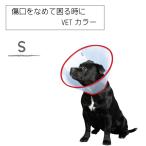  царапина ....... когда VET цвет S красный собака для домашних животных уход рука .kega царапина . домашнее животное 