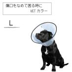  царапина ....... когда VET цвет L прозрачный собака для домашних животных уход рука .kega царапина . домашнее животное 