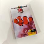 [N-6024] последнее снижение цены! Gakken. иллюстрированная книга LIVE POCKET Live карман рыба 