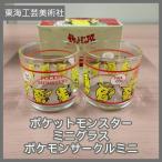 [N-6056] последнее снижение цены! Tokai прикладное искусство изобразительное искусство фирма Pocket Monster Mini стакан Pokemon Circle Mini 