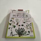 [N-6599] день . выпускать фирма Matsumoto Kimi .. поле Note Mihara цвет ... 4 сезон. . цветок 