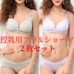 ブラジャー ショーツ セット 授乳 マタニティブラ マタニティショーツ ブラジャー マタニティ ナイトブラ 授乳服 上下セット 2色組