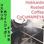 コスタリカジャガーハニー300ｇ（スペシ