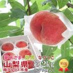 山梨の桃 約2kg 6〜9個入 山梨県産 南アルプス市産 夢あさま 嶺鳳 なつっこ