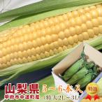 2025新商品 山梨県産 とうもろこし サニーショコラ・ライラ 2L〜3L 5〜6本入り 約2.5kg フルーツコーン 皮付き 生食可能 甲府市中道町産 きみひめの後継品種