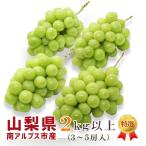 シャインマスカット 山梨県産 2kg以上 3〜5房入 南アルプス市産 高級ぶどう 種無し