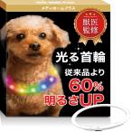 【獣医師監修】光る首輪 【5分の充