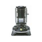 Aladdin アラジン ブルーフレーム 石