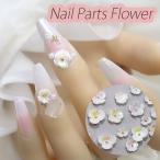 5 штук входит цветок жемчуг имеется Nailparts декоративные элементы ногти аксессуары заклепки искусство декоративный элемент материалы Aurora 