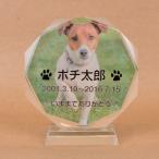 Pet&Love. ペットのお墓 ガラス製 お客様のペット写真刻印 オーダーメイド メッセージ変更可能 タイプ１　Sサイズ　高さ12cm　全体カラー
